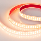 Светодиодная лента RTW 2-5000PW 24V Warm2700 2x2 (3528, 1200 LED, LUX) (Arlight, 19.2 Вт/м, IP66) Lednikoff