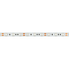 Светодиодная лента RT-B60-10mm 12V Green (14.4 W/m, IP20, 5060, 5m) (Arlight, 14.4 Вт/м, IP20) Lednikoff