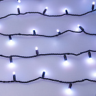 Светодиодная гирлянда ARD-STRING-CLASSIC-10000-BLACK-100LED-MILK-LIVE RGB-DMX (24V, 10W) (Ardecoled, IP65) Lednikoff