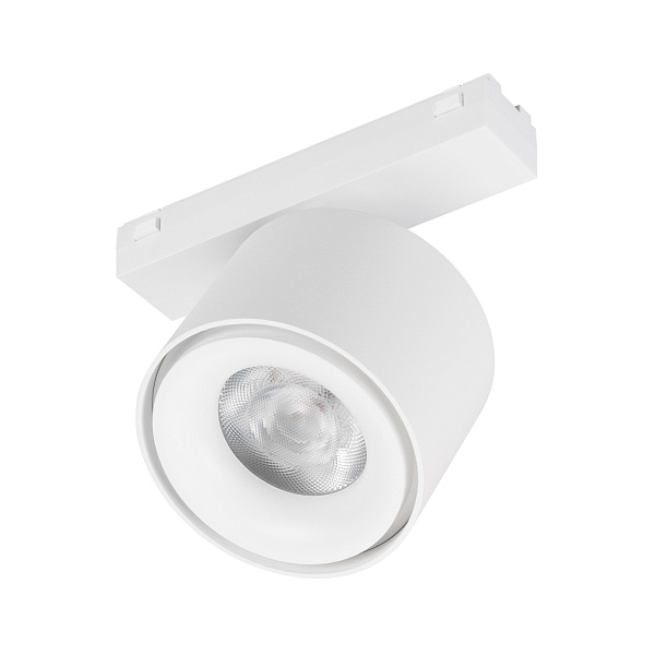 Светильник MAG-VIBE-POINT-R75-10W Day4000-MIX (WH, 24 deg, 48V, DALI) (Arlight, IP20 Металл, 5 лет)