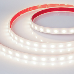 Светодиодная лента герметичная RTW-PW-B60-13mm 24V Day4000 (14.4 W/m, IP66, 5060, 5m) (Arlight, -)