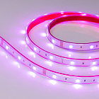 Светодиодная лента герметичная RTW-PS-B30-13mm 12V RGB (7.2 W/m, IP67, 5060, 5m) (Arlight, -) Lednikoff