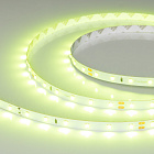 Светодиодная лента RT-A60-8mm 24V Spring Green (4.8 W/m, IP20, 5m) (Arlight, -) Lednikoff