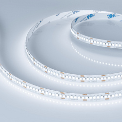 Светодиодная лента RT-A240-10mm 24V White6000 (19.2 W/m, IP20, 3528, 5m) (Arlight, Открытый)