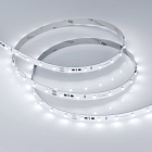 Светодиодная лента RT-10000 24V White5500 (3528, 60 LED/m, 10m) (Arlight, 4.8 Вт/м, IP20) Lednikoff