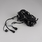 Светодиодная гирлянда ARD-STRING-CLASSIC-10000-BLACK-100LED-LIVE RGB (230V, 7W) (Ardecoled, IP65) Lednikoff