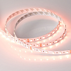 Светодиодная лента RT-B60-12mm 24V RGBW-Day-4-in-1 (19.2 W/m, IP20, 5060, 5m) (Arlight, Открытый) Lednikoff