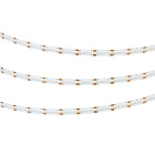 Светодиодная лента CSP-X640-10mm 24V White-MIX (23 W/m, IP20, 5m) (Arlight, Изменяемая ЦТ) Lednikoff