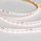 Светодиодная лента IC-A60-10mm 24V Warm3000 (4.8 W/m, IP20, 3528, 20m) (Arlight, стабилизированная) Lednikoff