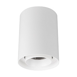 Светильник SP-FOCUS-R110-18W Warm3000 (WH, 24 deg, 230V) (Arlight, IP54 Металл, 5 лет)