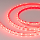 Светодиодная лента герметичная RTW-PFS-A60-11mm 24V Red (4.8 W/m, IP68, 2835, 5m) (Arlight, -) Lednikoff