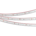 Светодиодная лента RTW-5000PS-3528-60-12V Blue (11mm, 4.8W, IP67) (Arlight, -) Lednikoff