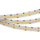 Светодиодная лента RT 2-5000 24V White5500 10mm (2835, 252 LED/m, LUX) (Arlight, 10 Вт/м, IP20) Lednikoff