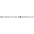 Светодиодная лента RT-20000 24V White5500 (3528, 60 LED/m, 20m) (Arlight, 4.8 Вт/м, IP20) Lednikoff