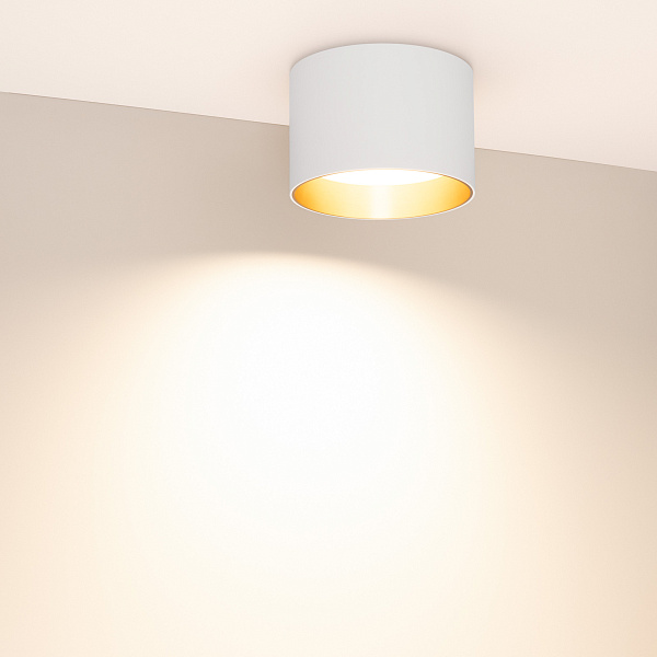 Светильник SP-BISCOTTO-R120-12W Warm3300-MIX (WH-GD, 80 deg, 230V) (Arlight, IP54 Металл, 5 лет) Lednikoff