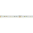 Светодиодная лента RT 6-5000 24V White-MIX 2x (2835, 120 LED/m, LUX) (Arlight, 23 Вт/м, IP20) Lednikoff