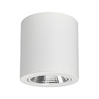 Светильник SP-FOCUS-R140-30W Warm White (Arlight, IP20 Металл, 3 года) Lednikoff