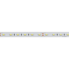 Светодиодная лента ULTRA-5000 24V White6000 2xH (5630, 300 LED, LUX) (Arlight, 27 Вт/м, IP20) Lednikoff