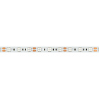 Светодиодная лента RT-B60-10mm 12V Orange (14.4 W/m, IP20, 5060, 5m) (Arlight, Открытый) Lednikoff