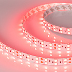 Светодиодная лента RT 2-5000 24V Red 2x2 (5060, 600 LED, LUX) (Arlight, 26 Вт/м, IP20) Lednikoff