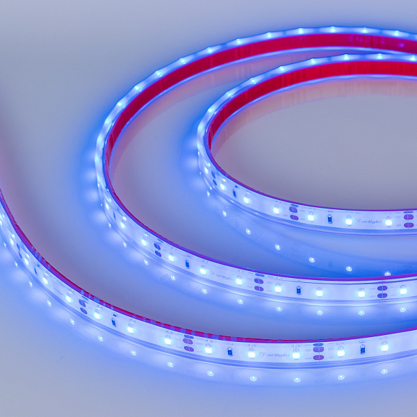 Светодиодная лента герметичная RTW-PFS-A60-11mm 12V Blue (4.8 W/m, IP68, 2835, 5m) (Arlight, -) Lednikoff