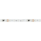 Светодиодная лента DMX-B60-10mm 24V RGB-PX6 (14 W/m, IP20, 5m) (Arlight, -) Lednikoff