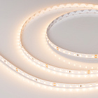 Светодиодная лента RT-A98-8mm 24V Warm2700 (10 W/m, IP20, 2835, 5m) (Arlight, Открытый) Lednikoff