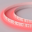 Светодиодная лента RT 2-5000 24V Red 2x2 (3528, 1200 LED, LUX) (Arlight, 19.2 Вт/м, IP20) Lednikoff
