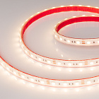 Светодиодная лента герметичная RTW-PS-B60-12mm 12V Warm3000 (14.4 W/m, IP67, 5060, 5m) (Arlight, 14.4 Вт/м, IP67) Lednikoff