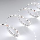 Светодиодная лента RT 2-5000 12V White6000 2x (5060, 300 LED, LUX) (Arlight, 14.4 Вт/м, IP20) Lednikoff