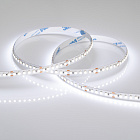 Светодиодная лента RT6-3528-180 24V White6000 3x (900 LED) (Arlight, 14.4 Вт/м, IP20) Lednikoff