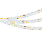 Светодиодная лента RT-A196-15mm 24V Warm2700 (20 W/m, IP20, 2835, 5m) (Arlight, Открытый) Lednikoff
