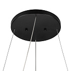Потолочная чаша SL-CANOPY-D250 (BK) (Arlight, Металл) Lednikoff