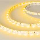 Светодиодная лента RT-A60-8mm 12V Yellow (4.8 W/m, IP20, 2835, 5m) (Arlight, Открытый) Lednikoff
