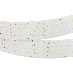 Светодиодная лента RT 2-2500 24V Day4000 5x2 (2835, 875 LED, CRI98) (Arlight, 36 Вт/м, IP20)