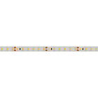 Светодиодная лента RTW 2-5000SE 24V White 2x(3528, 600 LED, LUX) (Arlight, 9.6 Вт/м, IP65) Lednikoff
