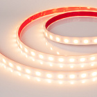 Светодиодная лента RTW 2-5000PW 24V Warm2700 2x (5060, 300 LED, LUX) (Arlight, 14.4 Вт/м, IP66) Lednikoff
