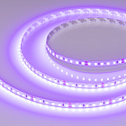 Светодиодная лента RT-A120-8mm 24V Violet (9.6 W/m, IP20, 2835, 5m) (Arlight, -) Lednikoff