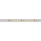 Светодиодная лента RTW 2-5000PS-50m 24V White6000 2x (3528, 120 LED/m, LUX) (Arlight, 9.6 Вт/м, IP67) Lednikoff