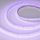 Светодиодная лента RT-AM360-12mm 24V RGBW-MIX (24 W/m, IP20, 2835/2210, 5m) (Arlight, -) Lednikoff