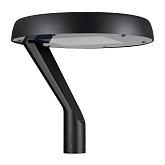 Светильник ALT-DEKKEL-50W Warm3000 (BK, 145x40 deg, 230V) (Arlight, IP65 Металл, 5 лет)
