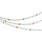 Светодиодная лента NT-A60-8mm 12V White6000 (4.8 W/m, IP20, 3528, 5m) (Arlight, Открытый) Lednikoff