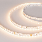 Светодиодная лента RT-A120-8mm 24V Warm3000 (14.4 W/m, IP20, 2835, 5m) (Arlight, Открытый) Lednikoff