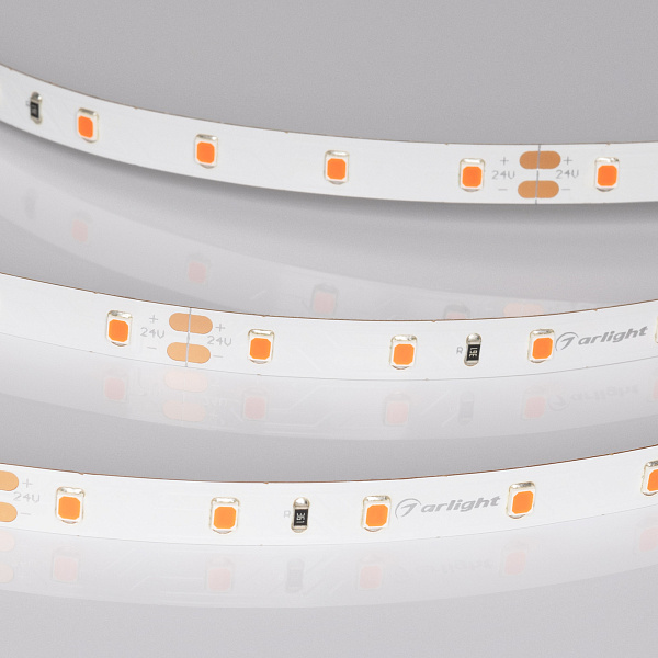 Светодиодная лента RT-A60-8mm 24V Ruby (4.8 W/m, IP20, 5m) (Arlight, -) Lednikoff