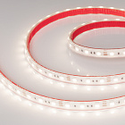 Светодиодная лента герметичная RTW-PS-B60-12mm 12V Day4000 (14.4 W/m, IP67, 5060, 5m) (Arlight, 14.4 Вт/м, IP67) Lednikoff