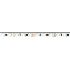 Светодиодная лента герметичная DMX-PFS-B60-12mm 12V RGB-PX3 (14 W/m, IP68, 5060, 5m) (Arlight, -) Lednikoff