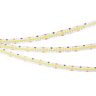 Светодиодная лента RT-A252-10mm 24V Warm2400 (11 W/m, IP20, 2835, 5m) (Arlight, 11 Вт/м, IP20) Lednikoff