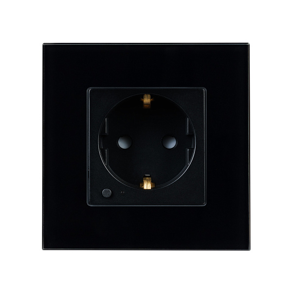 Розетка электрическая с Zigbee управлением SCT-OMALI-EUZB1-PL-BK (240V, 16A, Zigbee) (Arlight, -) Lednikoff