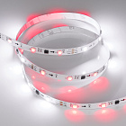 Светодиодная лента SPI-B30-10mm 12V RGB-PX3 (7.2W/m, IP20, 5060, 5m) (Arlight, бегущий огонь) Lednikoff