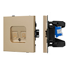 Механизм компьютерной розетки двойной SCT-TENDO-MPC2-SFPL-GD (RJ-45, CAT6) (Arlight, Матовый песочный) Lednikoff